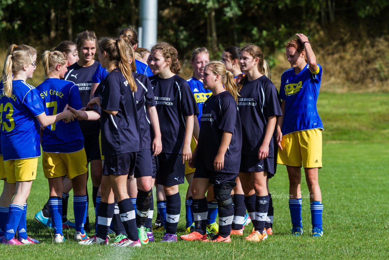 Bild 406 - Frauen TSV Gnutz - SG Slfeld/Oe/Se/Stu : Ergebnis: 2:3